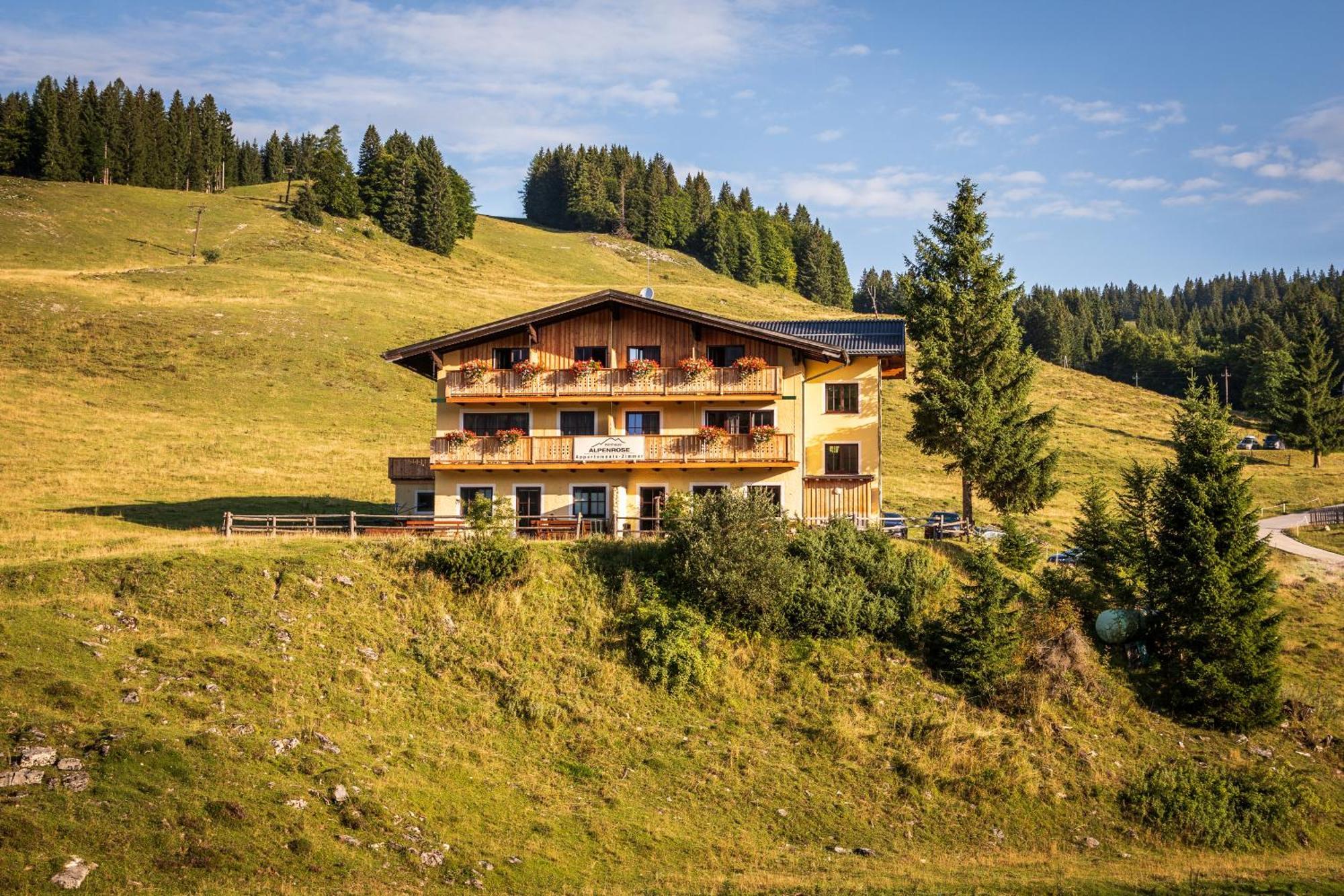 Villa Almhaus Alpenrose Seidegg Exterior foto